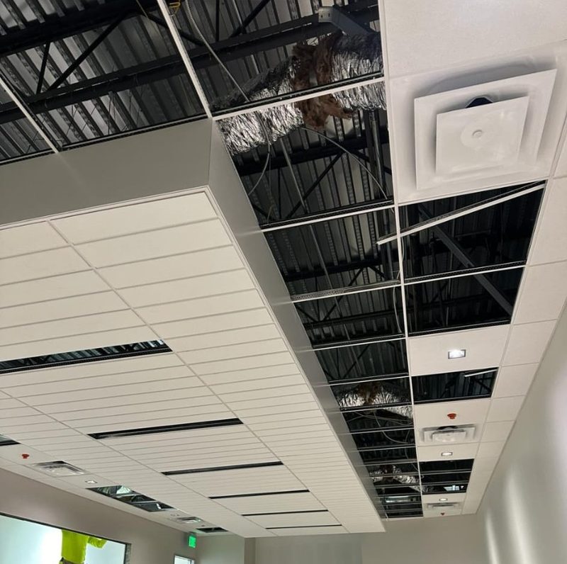 Grid ceiling installed by FM Decoration Corp. in Miami